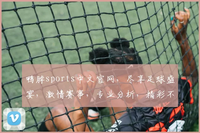 鸭脖sports中文官网，尽享足球盛宴，激情赛事，专业分析，精彩不断，不容错过
