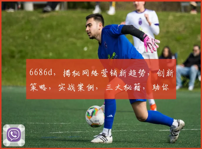 6686d，揭秘网络营销新趋势，创新策略，实战案例，三大秘籍，助你成功