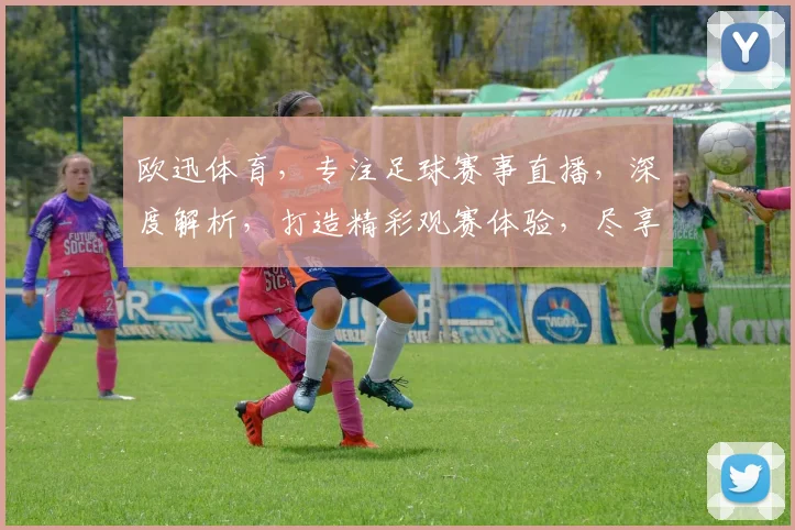 欧迅体育，专注足球赛事直播，深度解析，打造精彩观赛体验，尽享体育盛宴