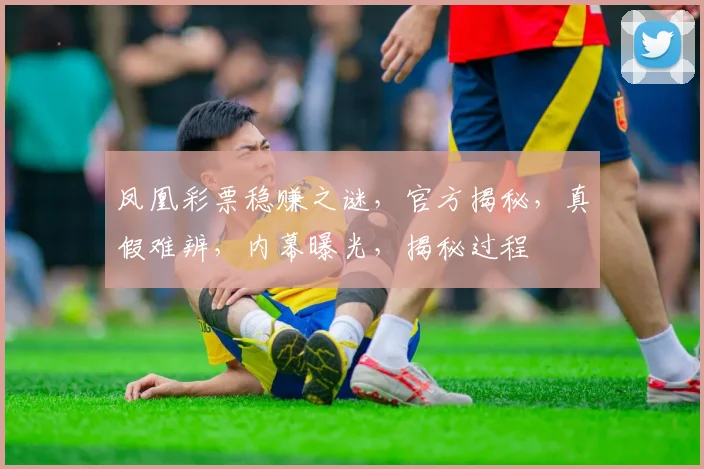 凤凰彩票稳赚之谜，官方揭秘，真假难辨，内幕曝光，揭秘过程